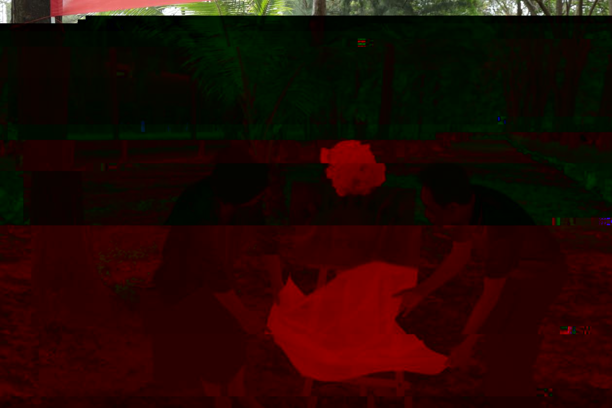 32231